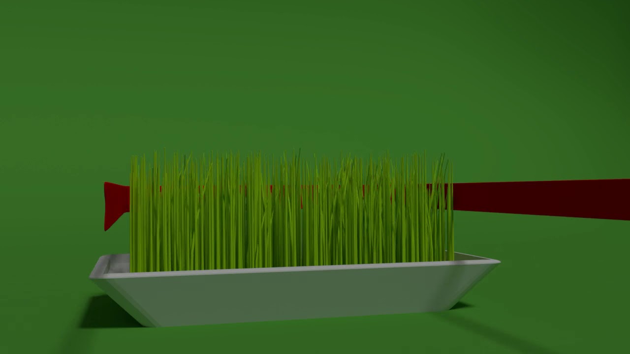 Novruz bayramı | Novruz holiday