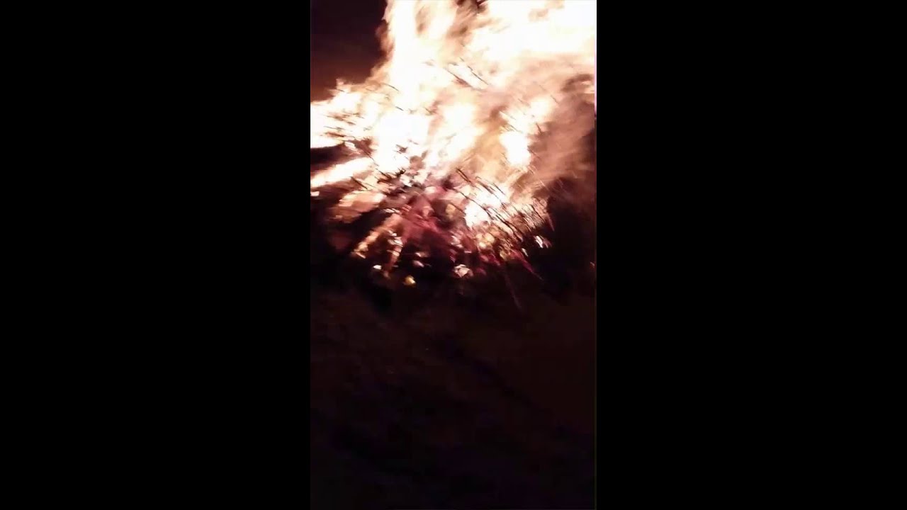 Novruz bayrami