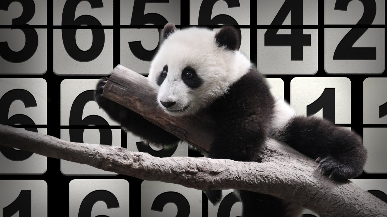 NPR: 2013 By The Numbers