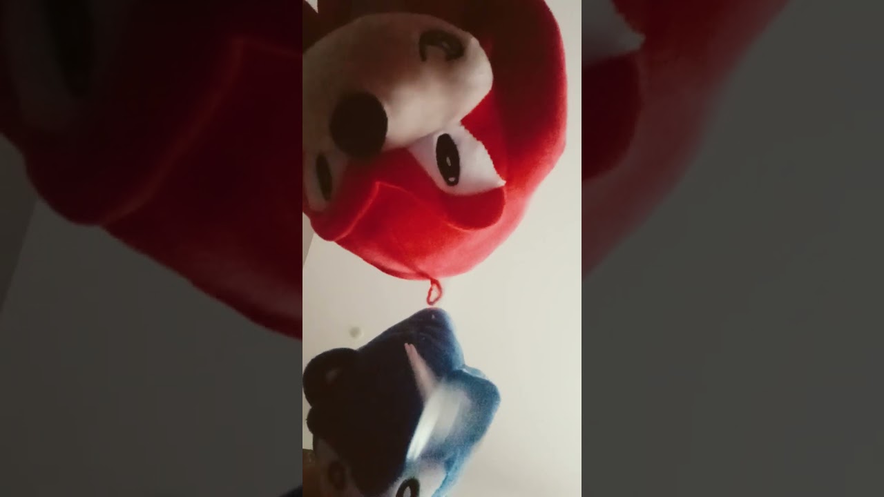NUCKYLS I SONIC BIJE SHADOWA