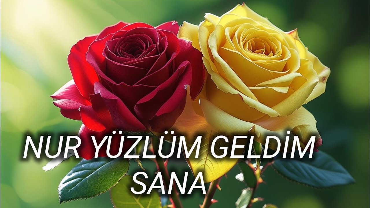 NUR YÜZLÜM GELDİM SANA OZAN BİRGÜL YENİ HAREKETLİ COŞTURAN İLAHİ