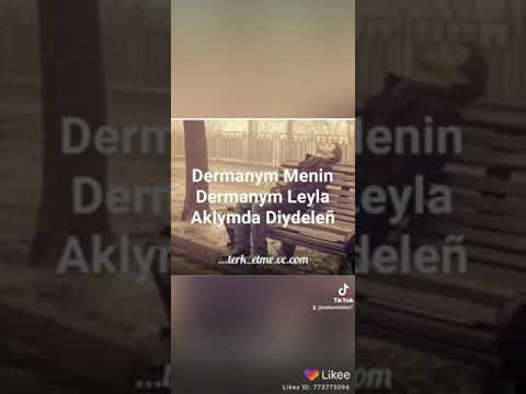 Nurka Molotov Leyla