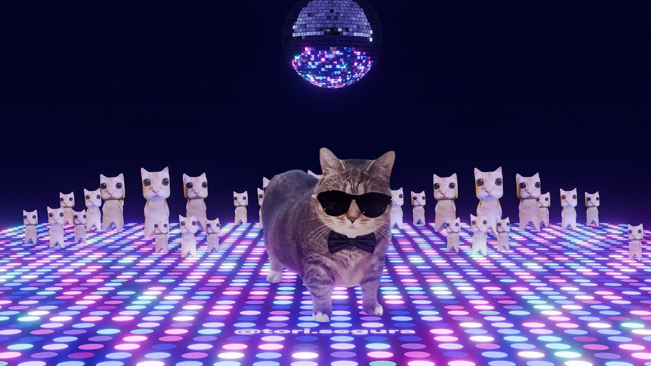 OIIA Cat x Gangnam Style (PSY Remix)