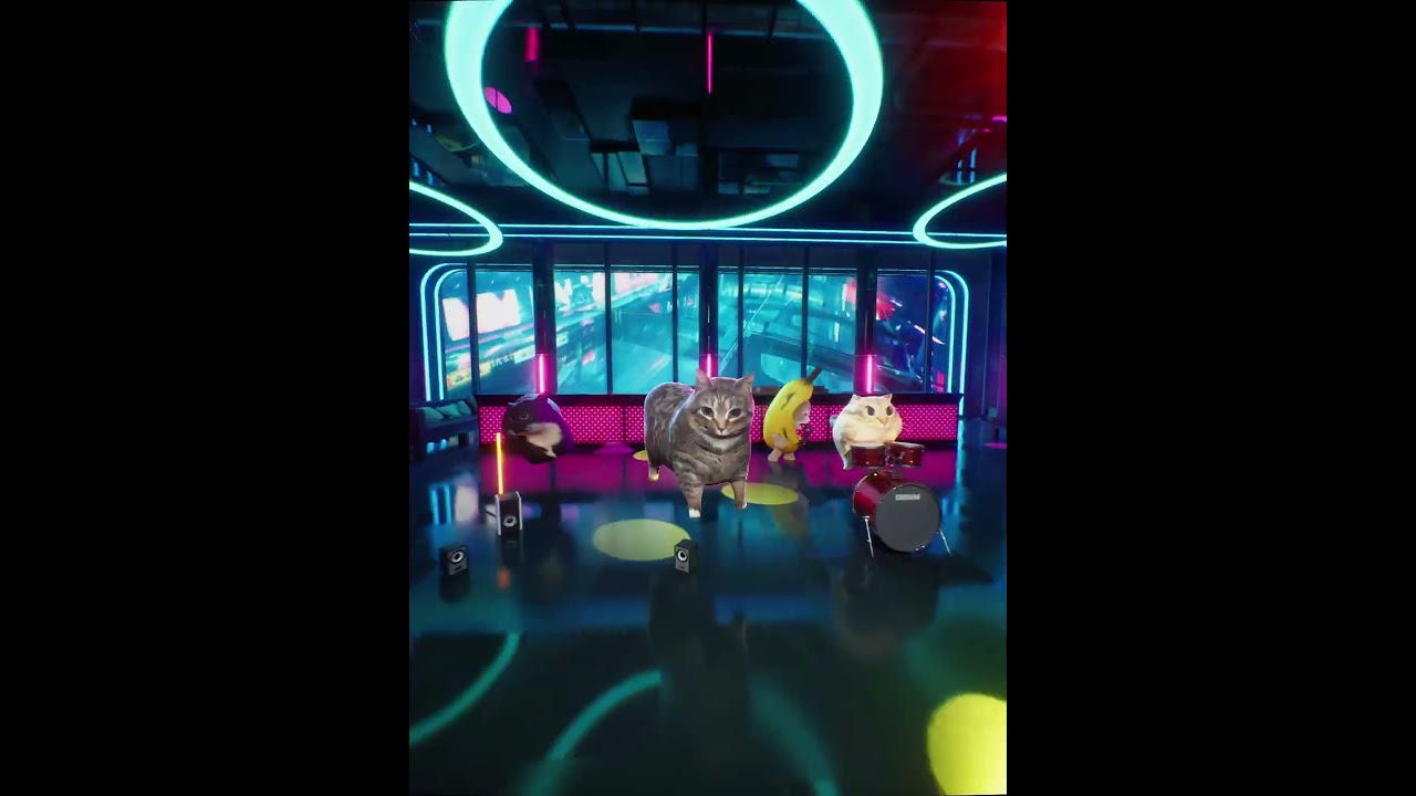 OIIAOIIA CAT CONCERT #memes #oiiaoiia #bananacat #maxwellcat