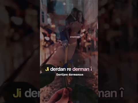 Çok güzel kürtçe whatsapp durum videosu kısa 108