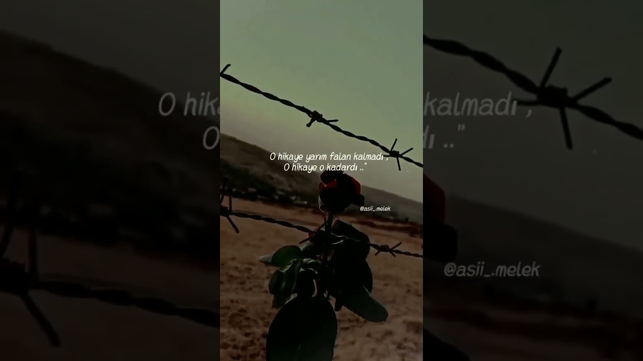 Çok güzel kürtçe whatsapp durum videosu kısa 64