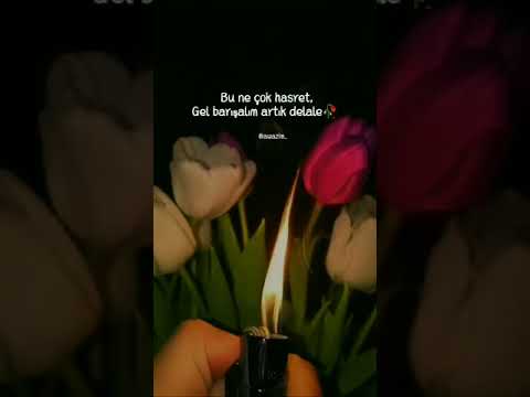 Çok güzel kürtçe whatsapp durum videosu kısa 80