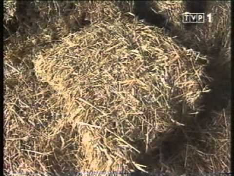 Olkowscy w Agrobiznes - Wielkie sprzątanie