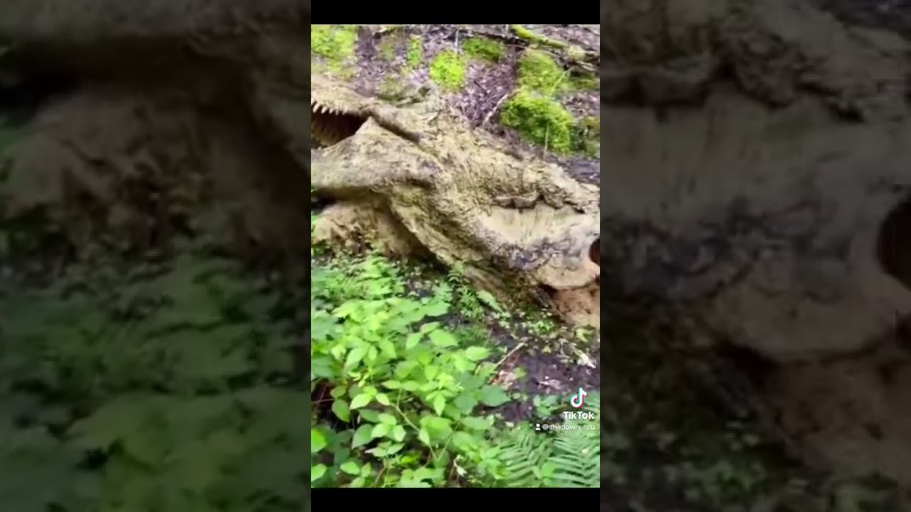 Omg A Dead T-Rex 🦖 #shorts #dinosaur