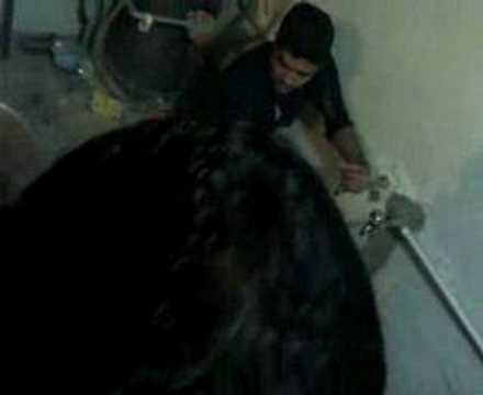 omi khan's masti express  ...........