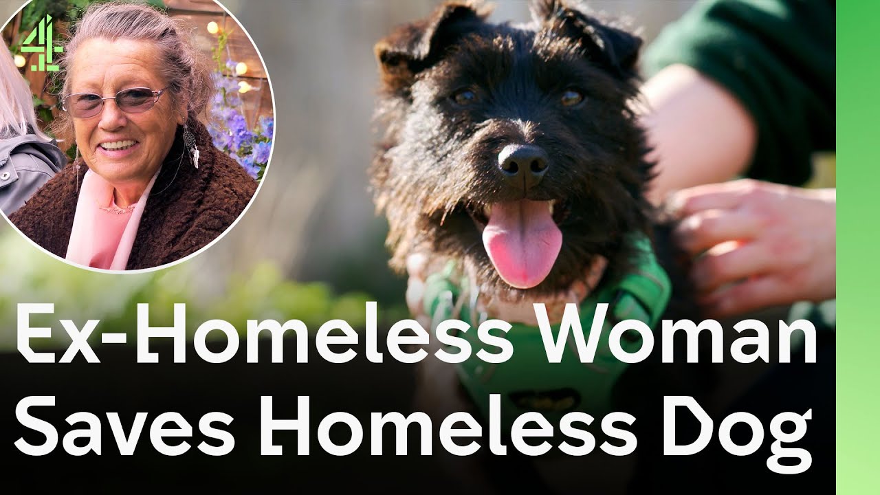 Once Homeless Herself This Woman Saves a Homeless Dog in Need | The Dog House 🐶