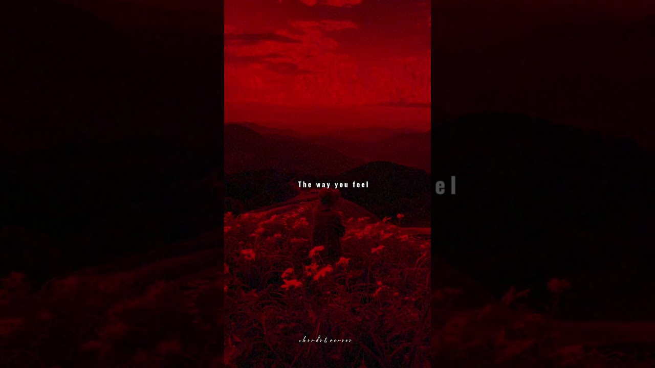 one kiss x i was never there | lyrics | aesthetic | whatsapp Status | English songs | slowed #viral✨
