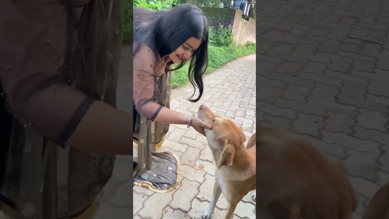 Oops buzzo aaya mujhse milne😍 #youtube#tranding#vlog#dog#youtubeshorts