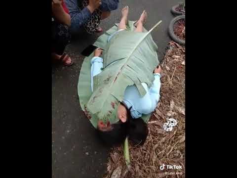 orang di tabrak tapi bohong