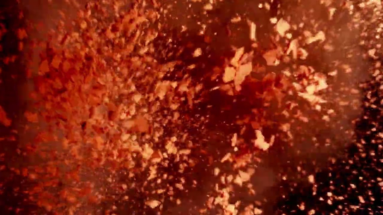 orange holi powder  | Free Stock Video without Watermark or Copyright