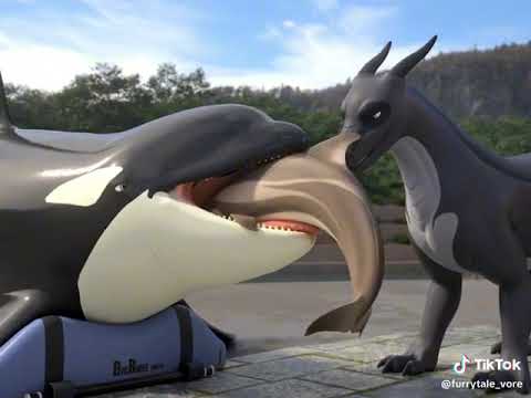 orca vore
