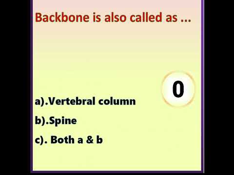 Other name of the Backbone is called as ...... (Gauss the correct answers)