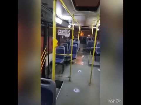 Otobüste unutulan çorap şöförün krizi🤓