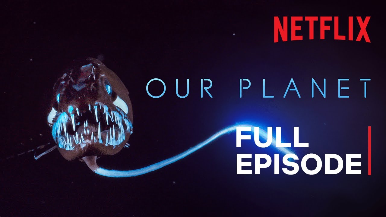 Our Planet | High Seas | FULL EPISODE | Netflix