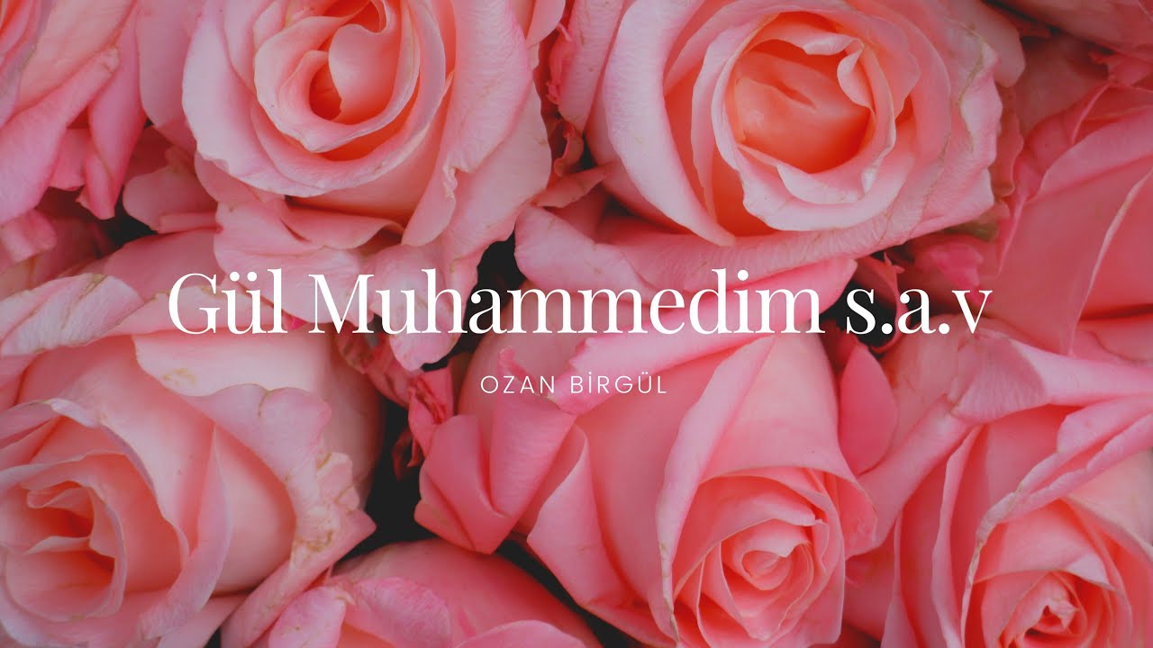 Ozan Birgül Benim Yarim Güle Benzer İlahiler Gül Muhammedim s.a.v ilahiler 2025 Yeni