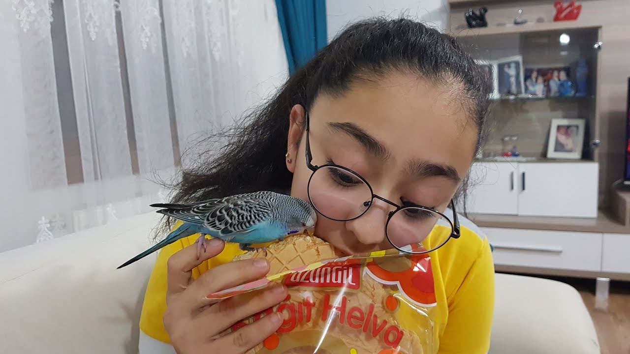 PAŞANIN AFACANLIKLARI SÜHEYLAYA RAHAT VERMİYOR