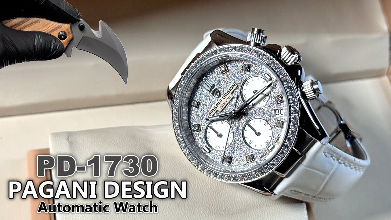 Pagani Design PD-1730 Stainless Steel Automatic Watch 2025! Unboxing & Review - Aesthetic ASMR