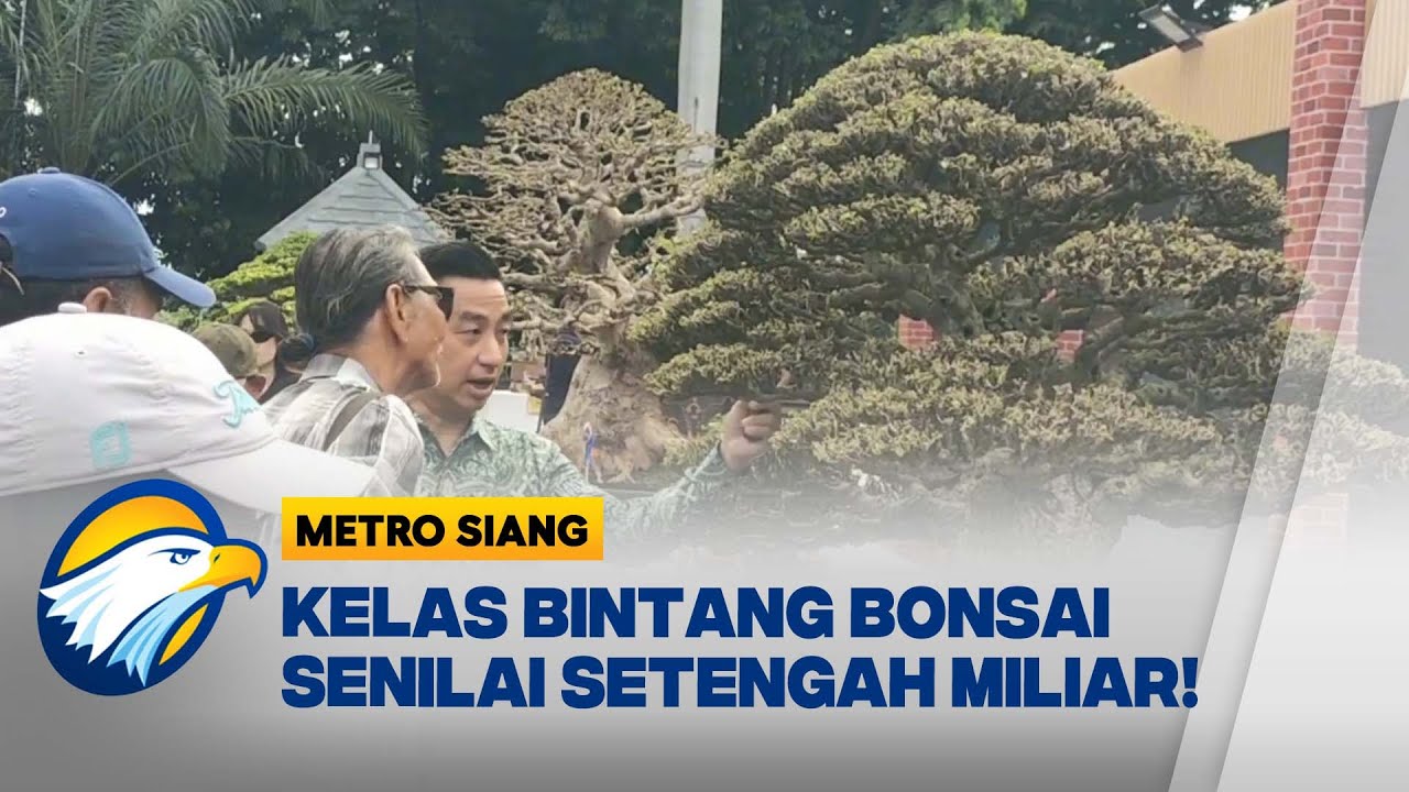 Pameran Bonsai, Ada Kelas Bintang Senilai 500 Juta [Metro Siang]