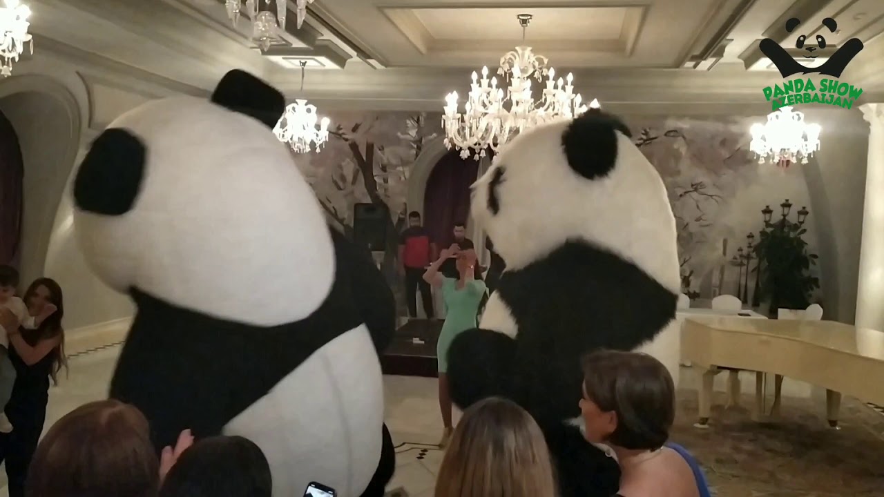 Panda Show Azerbaijan