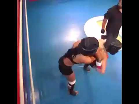 Panicat Fight