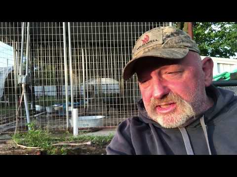 Patterdale Terrier Puppy Training- Recall and Lead Breaking