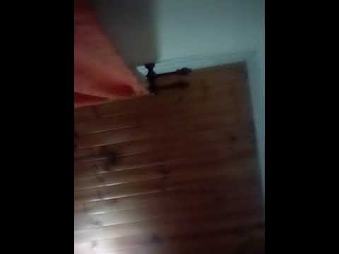 Paulo crack el papa y el tigre