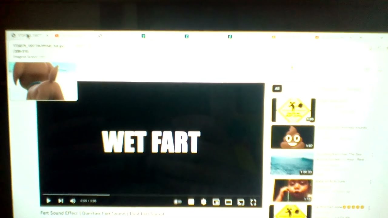 PAW PATROL ZUMA FARTING
