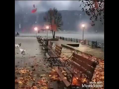 Payiz fesli  qemli