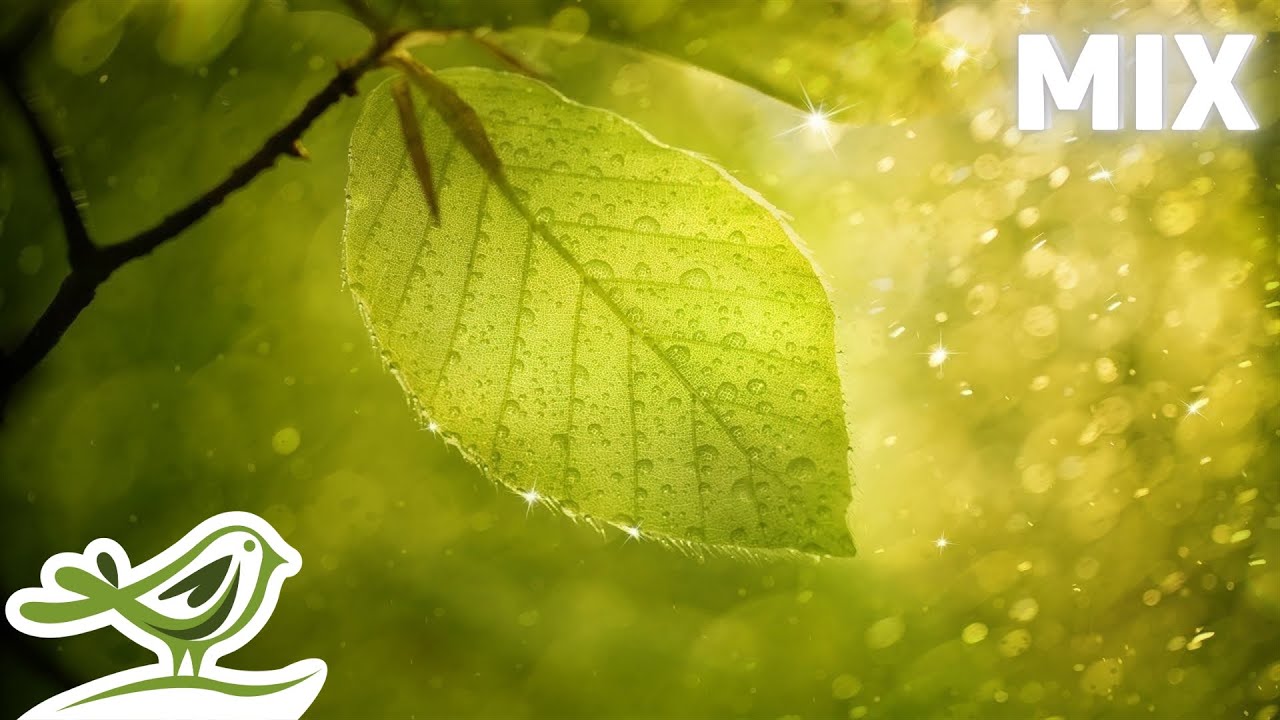 Peder B. Helland - Rainy Days (Full Album)