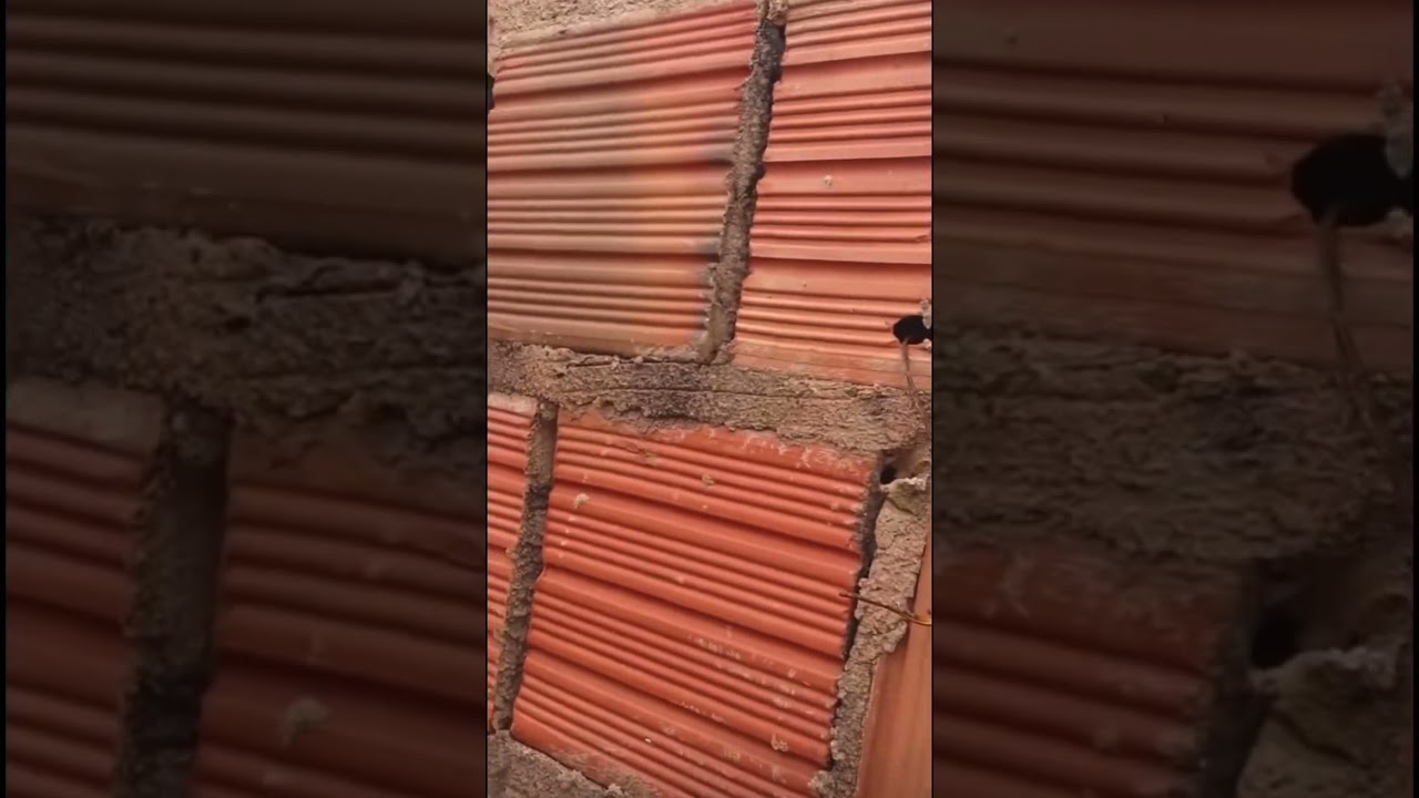 PEDREIRO FLAGRA MULHER TOMANDO BANHO PELADA