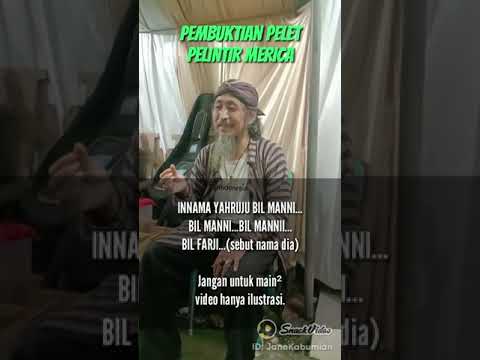 pelintir merica
