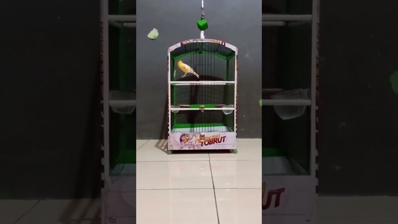 Pemburu tobrut