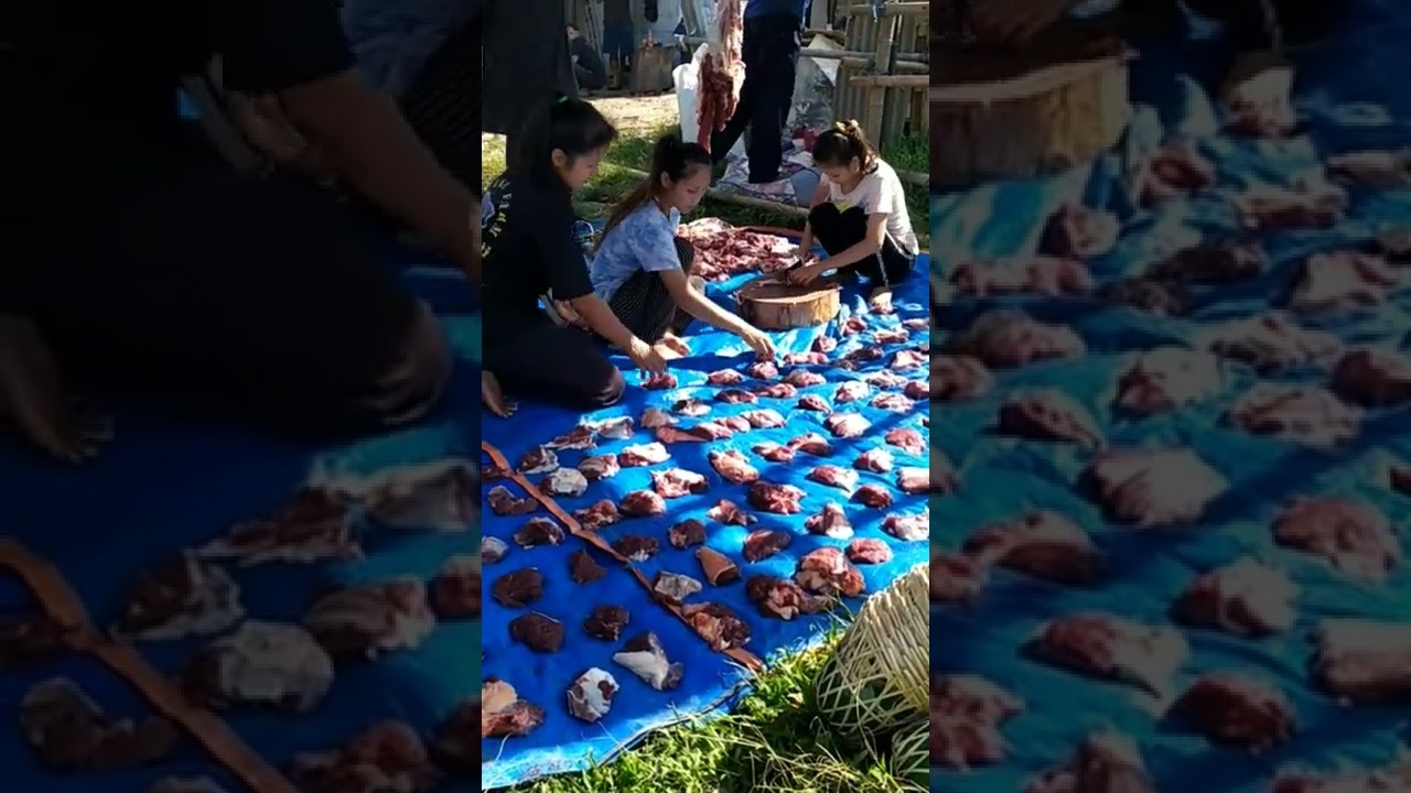 Penampakan Cewek Cantik Saat Sembelih Qurban