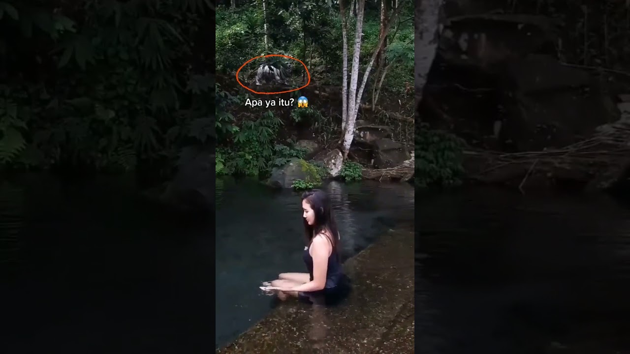 penampakan harimau putih