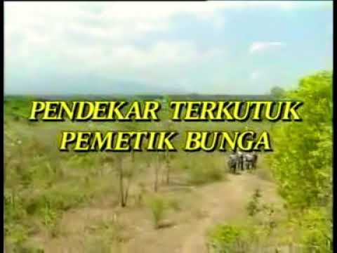 Pendekar terkutuk pemetik bunga