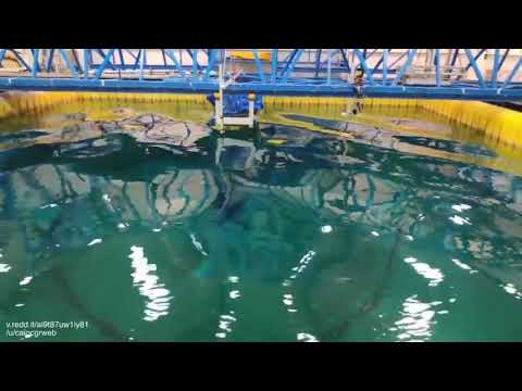 perfect standing wave on a computer-controlled wave pool
