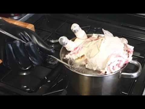 Perfectly Normal Cooking Video