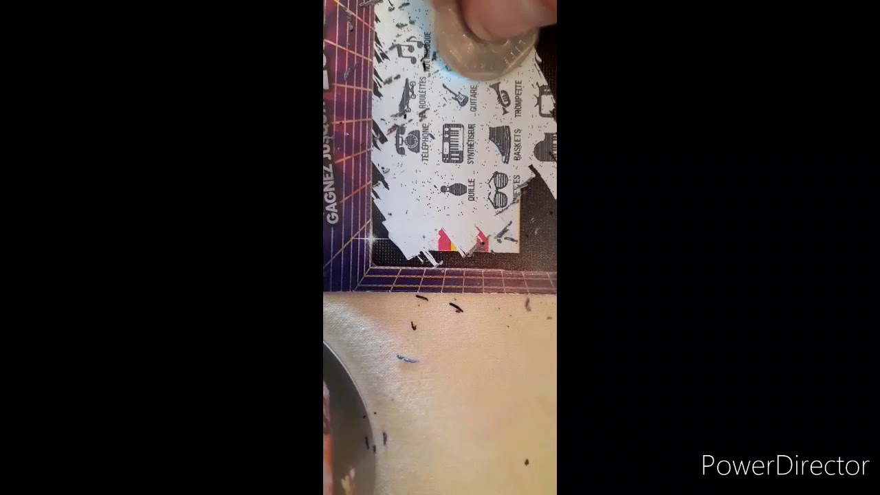 Petite vidéo grattage