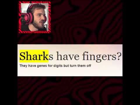 Pewdiepie highlights