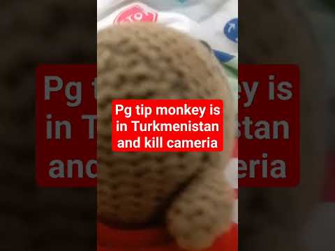 PG TIP monkey in Ashgabat türk and kills camera because he is famous and hate camera #funny #monkey