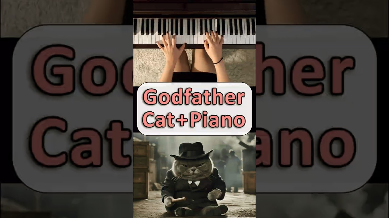 🎹💔Piano Cover Godfather | Cat’s Revenge😼🕶️ #piano #cat #funny #animation #pianocover #catlovers