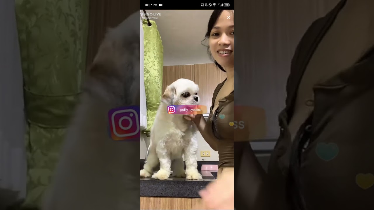 Pinay Bigo Live Puffy eyessss Episode 3