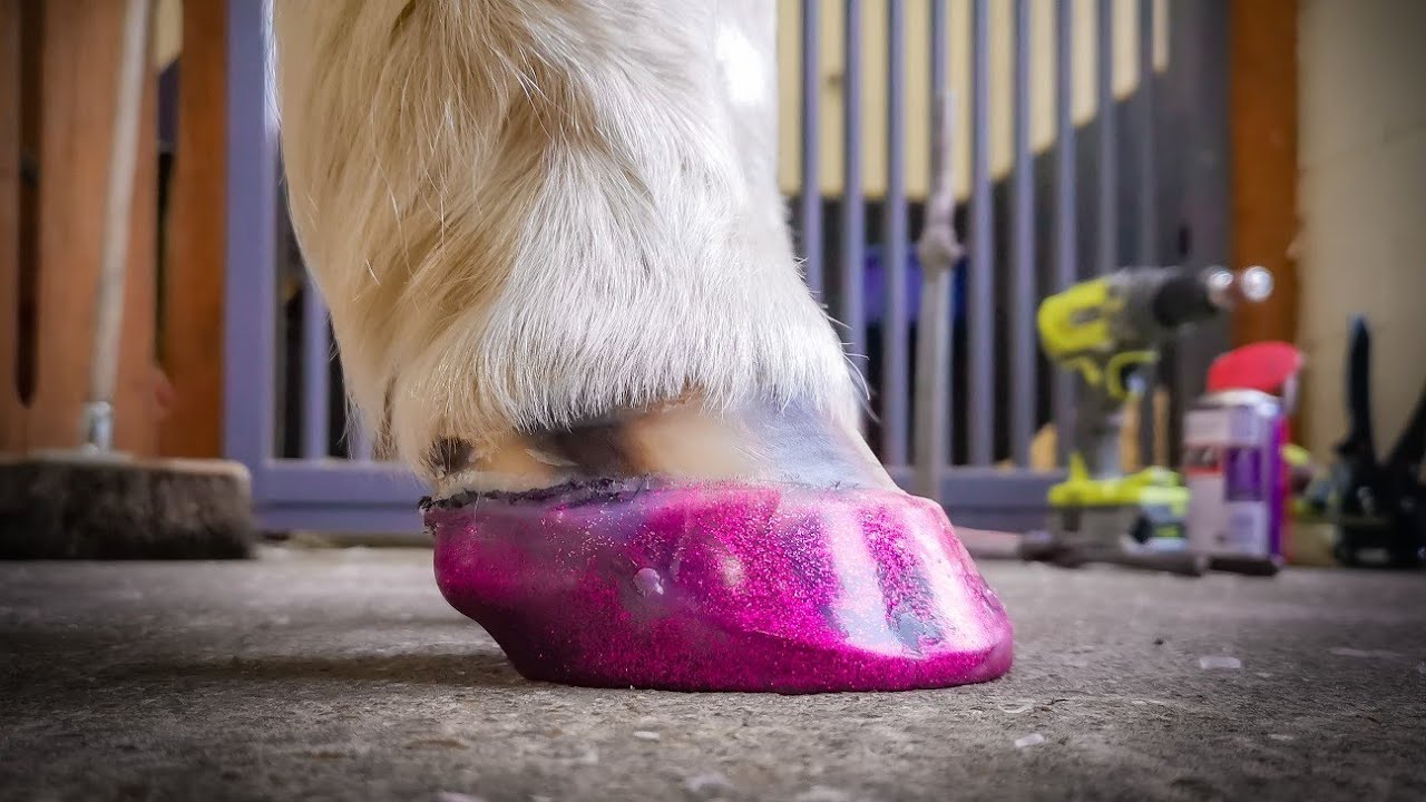 Pink Horse Shoes for Ponies