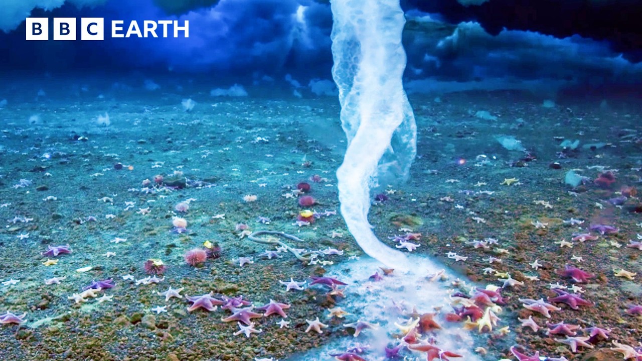 Planet Earth Through The Seasons | BBC Earth