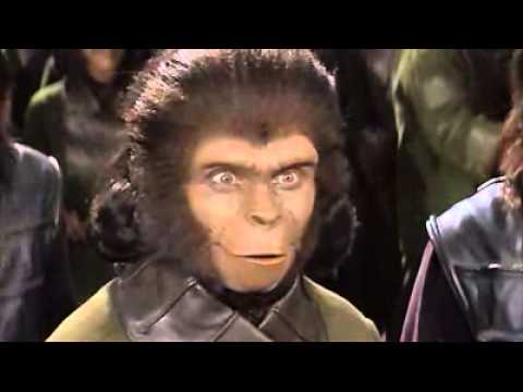 PLANET OF THE APES FEST!